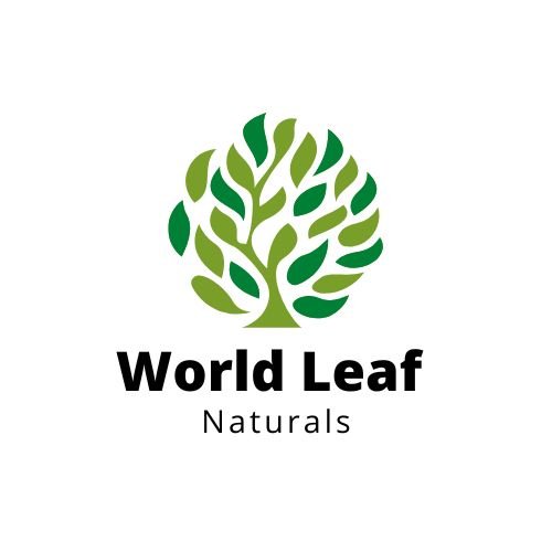 Logo Design Services in Glasgow UK